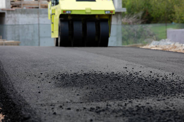 Best Driveway Pavers Near Me  in Rancho Alegre, TX