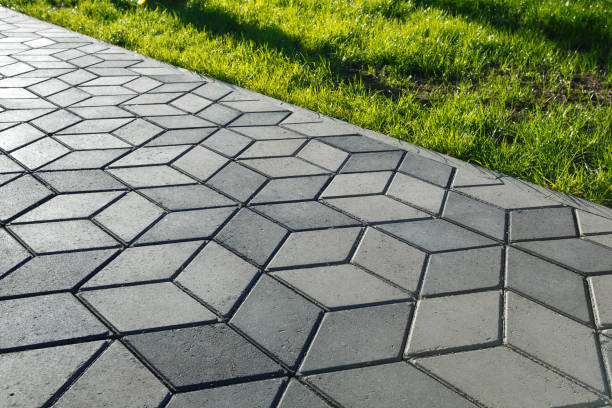 Best Interlocking Driveway Pavers  in Rancho Alegre, TX