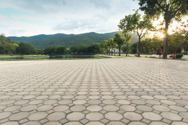 Best Driveway Paving Contractor  in Rancho Alegre, TX