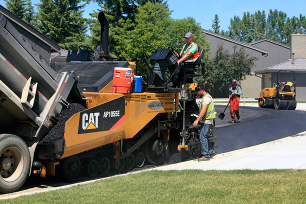 Best Residential Paver Driveway  in Rancho Alegre, TX