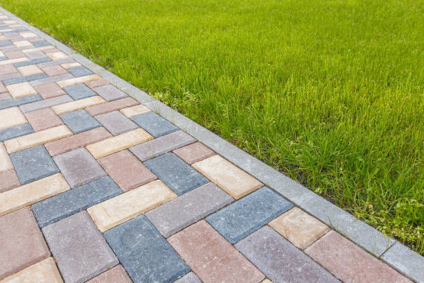 Best Driveway Pavers Contractor  in Rancho Alegre, TX